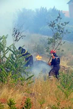 Fighting with the wildfire Stock Photos
