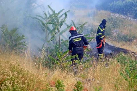Fighting with the wildfire Stock Photos