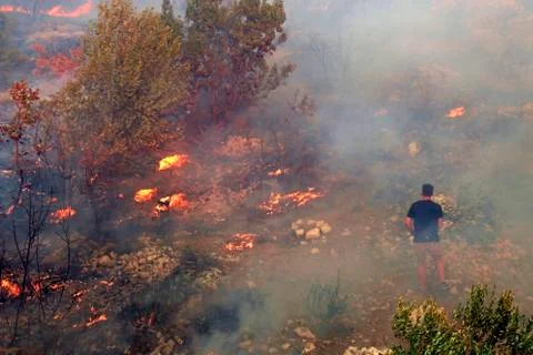 Fighting with the wildfire Stock Photos