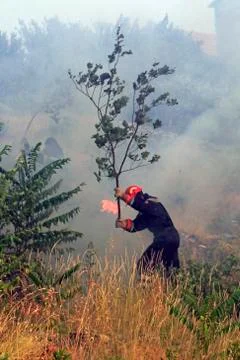 Fighting with the wildfire Stock Photos