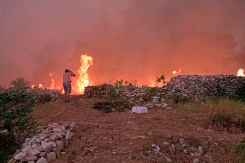 Fighting with the wildfire Stock Photos