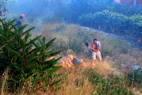 Fighting with the wildfire Stock Photos