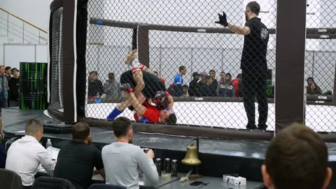 Fights without rules in a cage, fighters fight at a local tournament for first Stock Footage 205123007