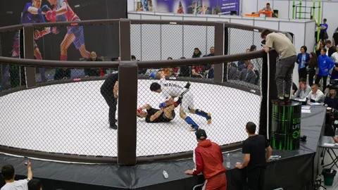 Fights without rules in a cage, fighters fight at a local tournament for first Stock Footage 205123151