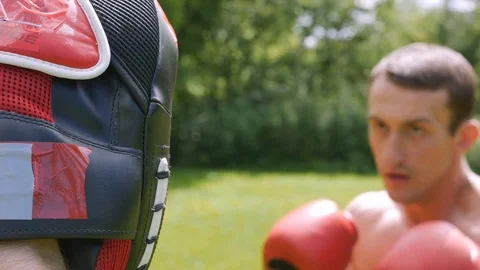 Fights without rules-mixed martial arts training Stock Footage 77279955