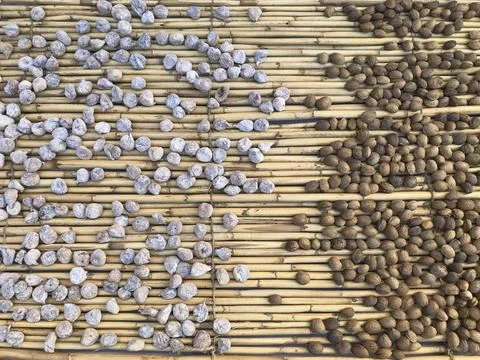 Figs and almonds drying in the sun on a base of reeds Stock Photos