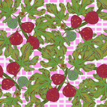 Figs on branches. Modern illustration in retro style with sketch elements. Se Illustrazione stock