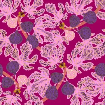 Figs on branches. Modern illustration in retro style with sketch elements. Se Stock Illustration