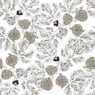Figs on branches. Modern illustration in retro style with sketch elements. Se Stock Illustration