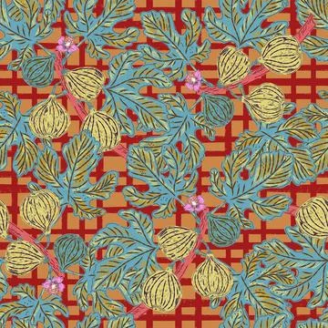 Figs on branches. Modern illustration in retro style with sketch elements. Se Stock-Illustration