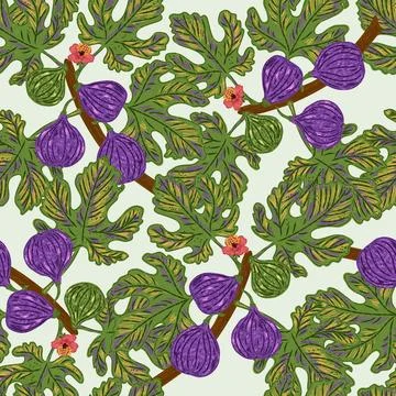 Figs on branches. Modern illustration in retro style with sketch elements. Se Stock Illustration