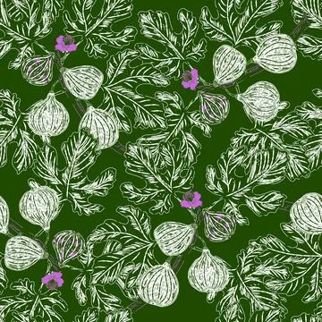 Figs on branches. Modern illustration in retro style with sketch elements. Se Stock Illustration