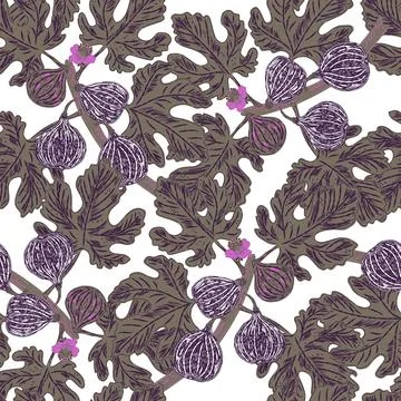 Figs on branches. Modern illustration in retro style with sketch elements. Se Stock Illustration