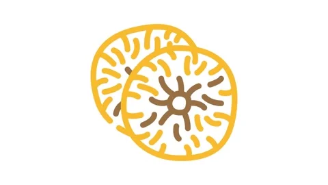 Figs dried fruit color icon animation Stock Footage 327270258