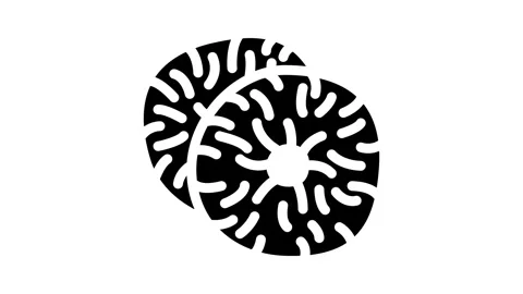 Figs dried fruit glyph icon animation Stock Footage 326745627