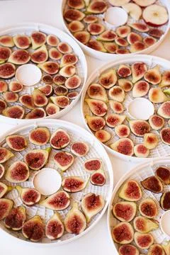 Figs drying process on plates on the table Stock Photos