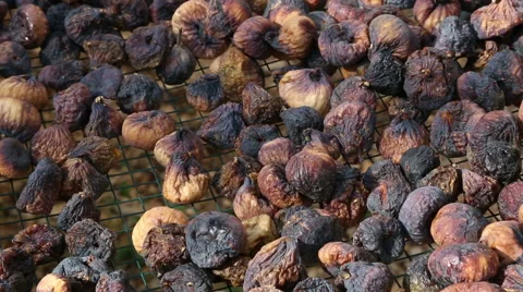 Figs drying in the sun Stock Footage 55005754