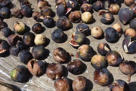 Figs drying in the sun Stock Photos