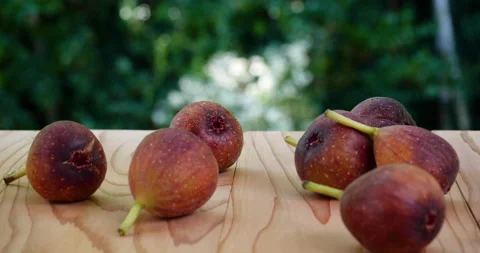 Figs Stock Footage 152919531