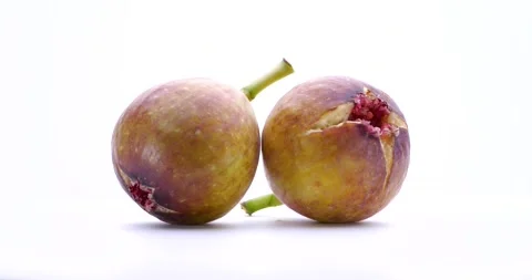 Figs. Stock Footage 159684957
