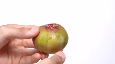 Figs Stock Footage 274521242