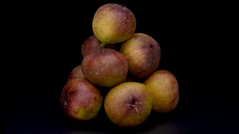 Figs Stock Footage 310164219