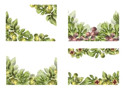 Figs frame. Branch ripe fig fruit with green leaves banner. Hand drawn Stock Illustration