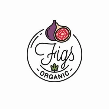 Figs fruit logo. Round linear logo of fig slice Stock Illustration