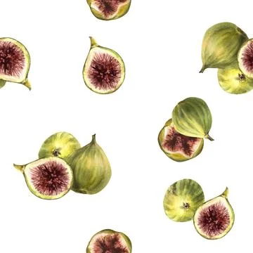 Figs fruit seamless pattern. Juicy sliced and whole green and purple fig イラスト素材
