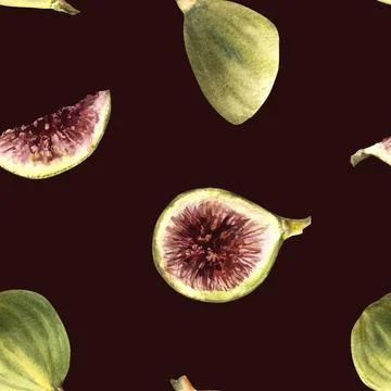 Figs fruit seamless pattern. Realistic watercolor sliced green purple fig Stock Illustration
