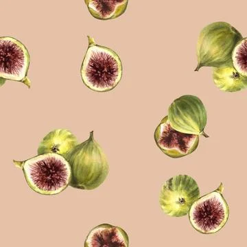Figs fruit seamless pattern. Watercolor Juicy sliced and whole green and purple Stock Illustration