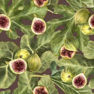 Figs fruit watercolor seamless pattern. Sliced and whole purple fig and green Stock Illustration