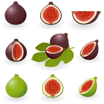 Figs Stock Illustration