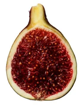Figs insight on white background Foto stock