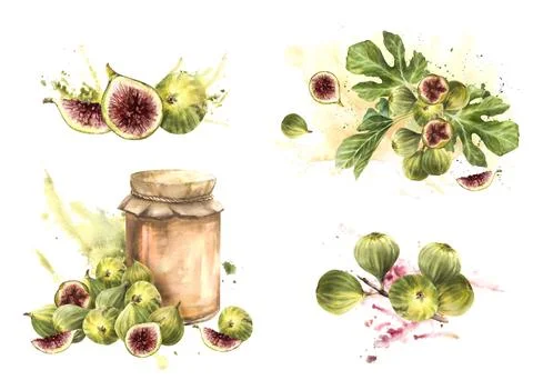Figs jam in a glass jar with different fruit branches on watercolor spotted Stock Illustration