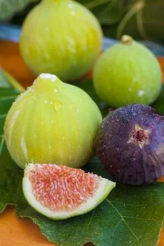 Figs Stock Photos