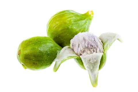Figs Stock Photos