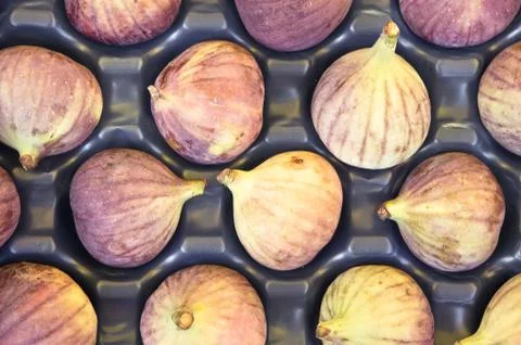 Figs Stock Photos