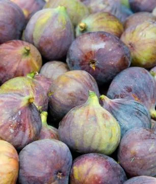 Figs Stock Photos