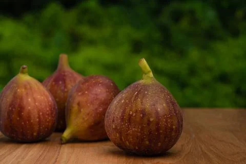 Figs Stock Photos