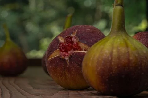 Figs. Stock Photos