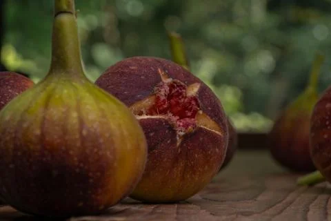 Figs. Stock Photos
