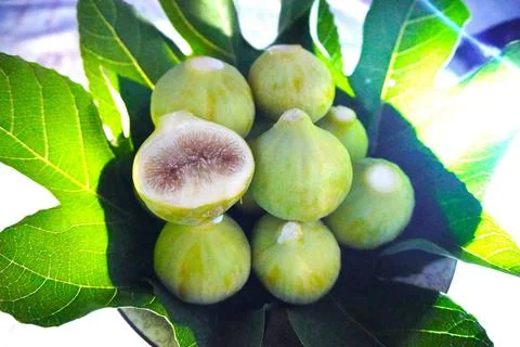 Figs. Stock-Fotos