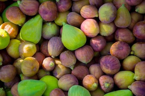 Figs Foto stock
