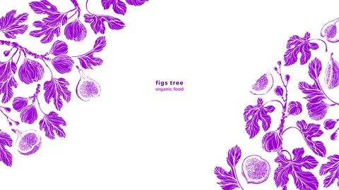 Figs, pulpy fruit, texture twig. Vector art border Stock Illustration