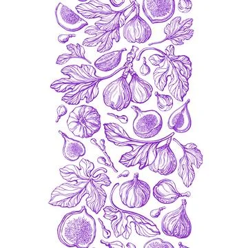 Figs seamless pattern, decorative border. Vintage Stock Illustration