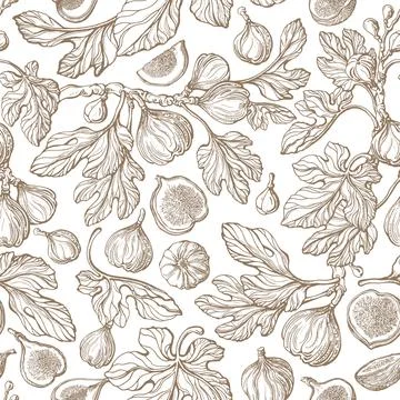 Figs seamless pattern. Vector antiquity garden, vintage tree, fruit, texture  Stock Illustration
