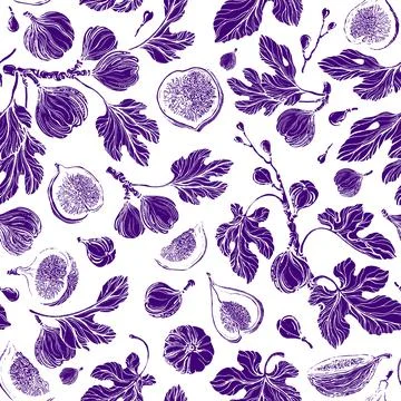 Figs seamless pattern. Vector texture print. Summer plant, fruit, leaves. Bot Stock Illustration