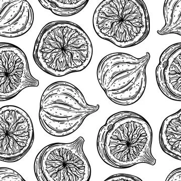 Figs seamless vector pattern. Ripe garden fruits whole, half, round slice 스톡 일러스트