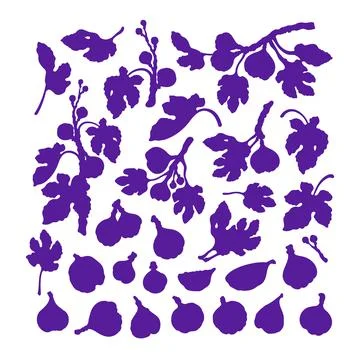 Figs silhouette set. Vector art collection isolate Stock Illustration